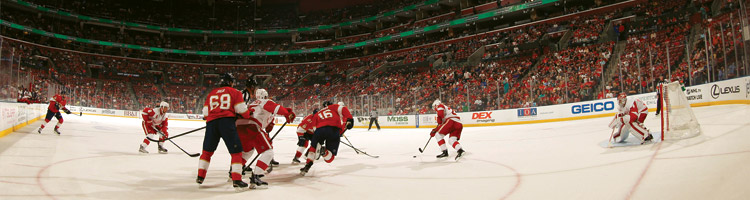 Florida Panthers hockey game