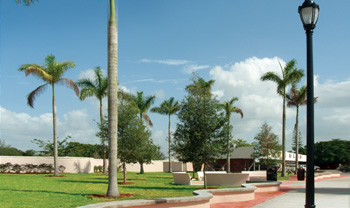 Golf Village Park walkway