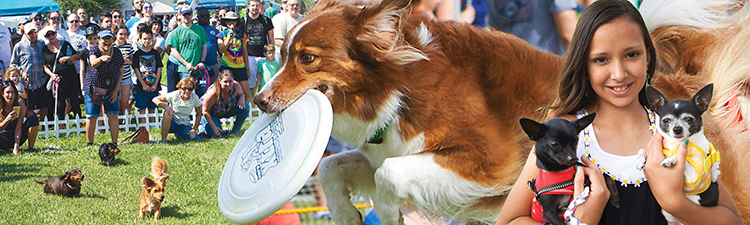 Residents, guests, performers, and canines at the City of Sunrise Woofstock event