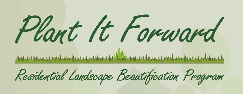 Plant It Forward: The City of Sunrise Residential Landscape Beautification Program