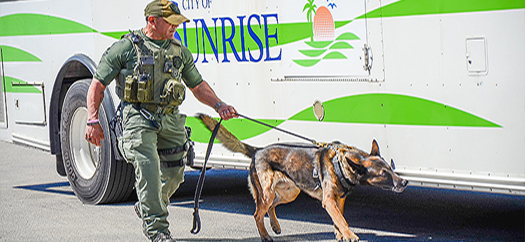 K9 officer searching City bus