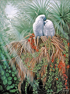 Art by Ed Usher featuring birds in foliage