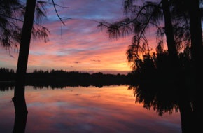 A beautiful sunrise in Markham Park