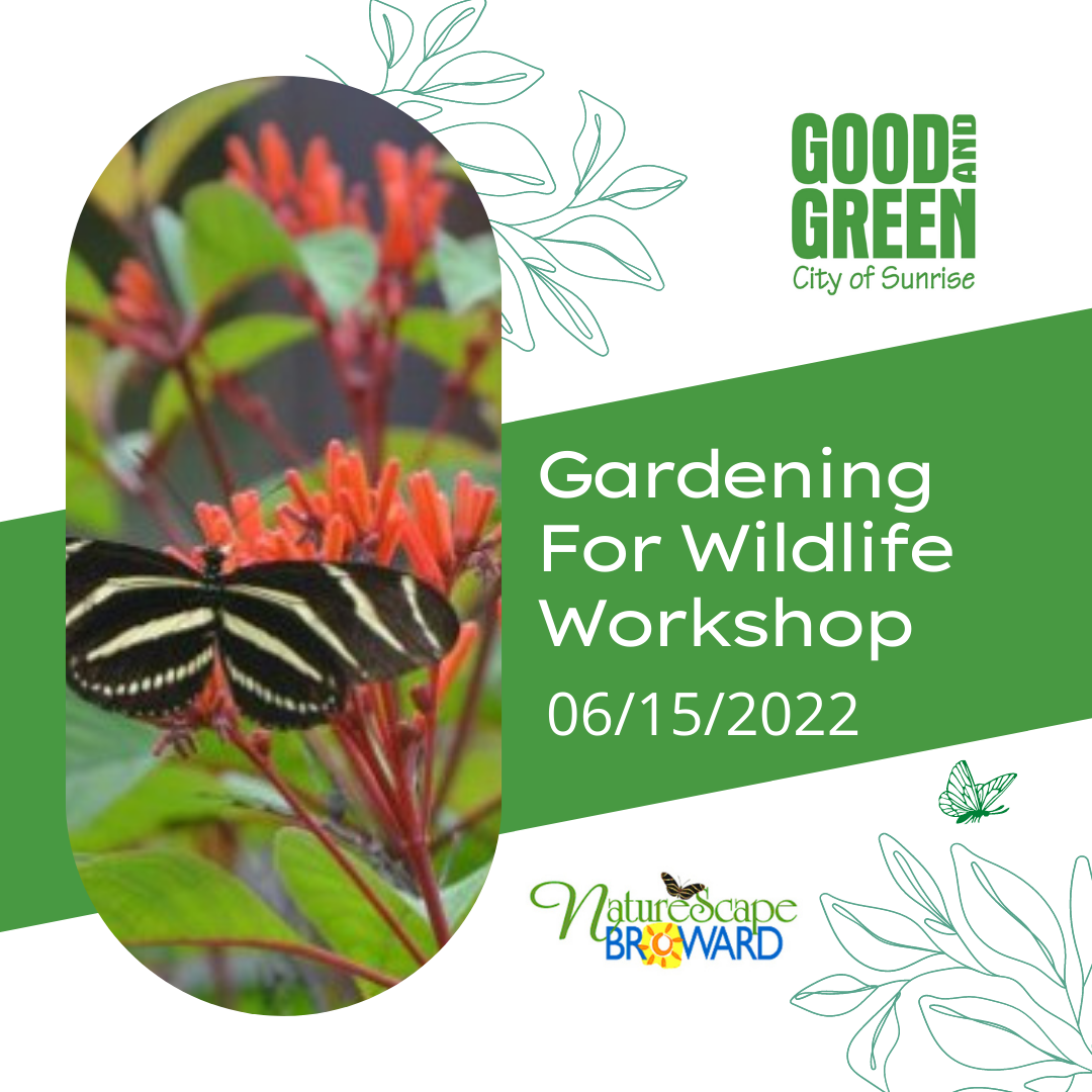 Good and Green - City of Sunrise - Gardening For Wildlife Workshop June 15